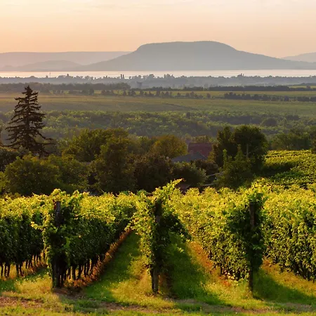 In Balatonmariafürdo 40852 Apartment Balatonmáriafürdő