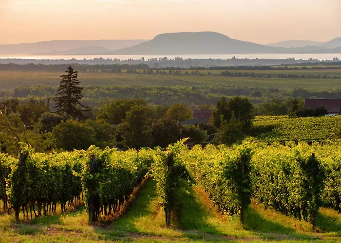 In Balatonmariafürdo 40852 Apartment Balatonmáriafürdő